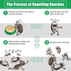 Cockroach Killer Gel (Pack of 2/4/8)