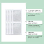 Herbal Detox Foot Pads (Pack of 1) 10 Patches